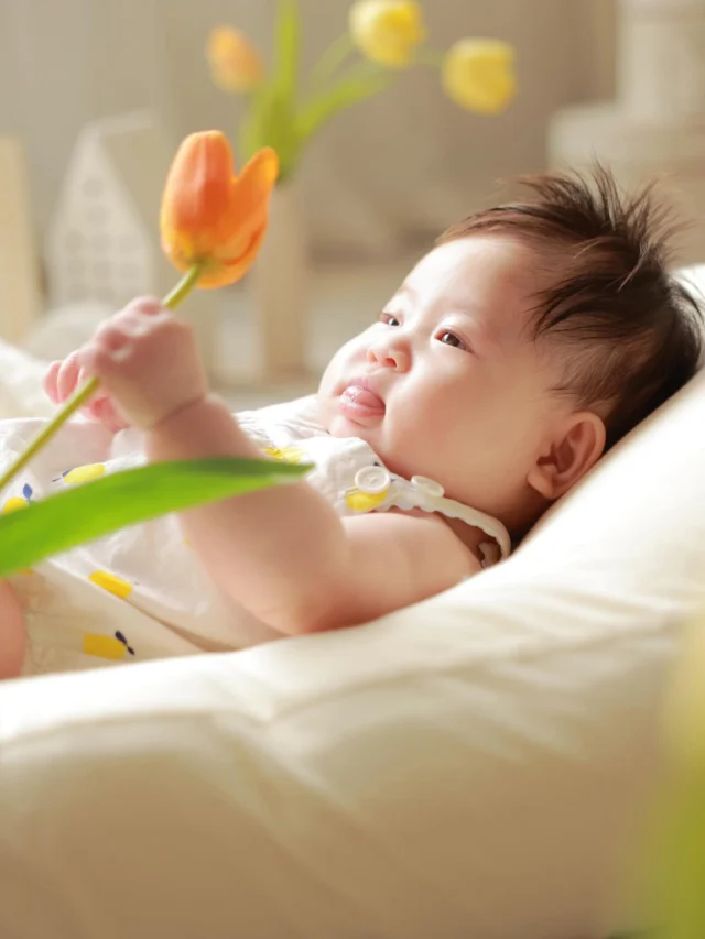 ほわほわベイビーちゃん！小さな目、耳、鼻、そしてちょろんと出たべろがなんとも愛おしかったです🥺

#lifestudio  #ライフスタジオ #ライフスタジオ国分寺 #子ども写真 #100日記念 255885