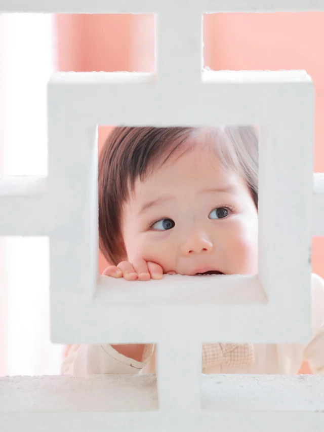 あれっ？こんなのとこからニコニコさんが覗いていました👶🏻

#lifestudio  #ライフスタジオ #ライフスタジオ国分寺 #写真スタジオ #誕生日記念 311963