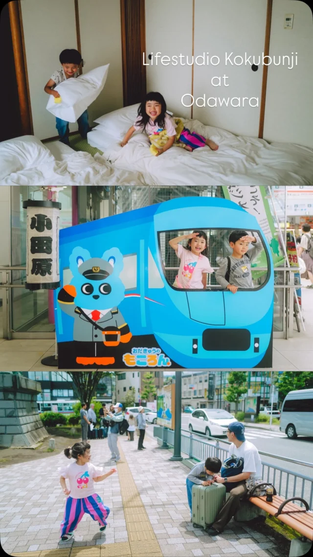 【小田原旅行🚃】
ライフスタジオ国分寺店のみんなで
小田原へ社員旅行に行ってきました‼️

小田原駅周辺でお昼ご飯を食べた後は
今回のメイン「ヒルトン小田原リゾート＆スパ」へ！
大人6人子供2人で、ゆったりしつつたくさん遊んだ最高の旅でした✨

美しい景色、美味しいご飯、子供達も大興奮のおっきなプール、そしてそしてなんと言っても温泉は最高に気持ちよくて大人達は何度も入ってリラックスしてきました😌

元気いっぱいの国分寺スタッフの雰囲気と小田原旅行の参考にぜひぜひご覧ください！笑

#ライフスタジオ国分寺　#lifestudio #小田原 #ヒルトン小田原 #こどもとあそぶ